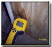 mold inspection los angeles