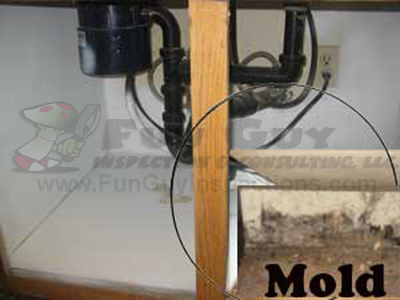 Black-Mold-In-My-Kitchen Look for funguy before you buy