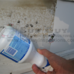 Wipe out a bad mold problem