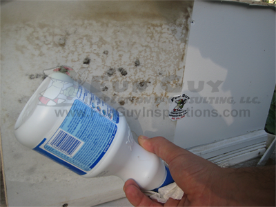how to clean and remove mold
