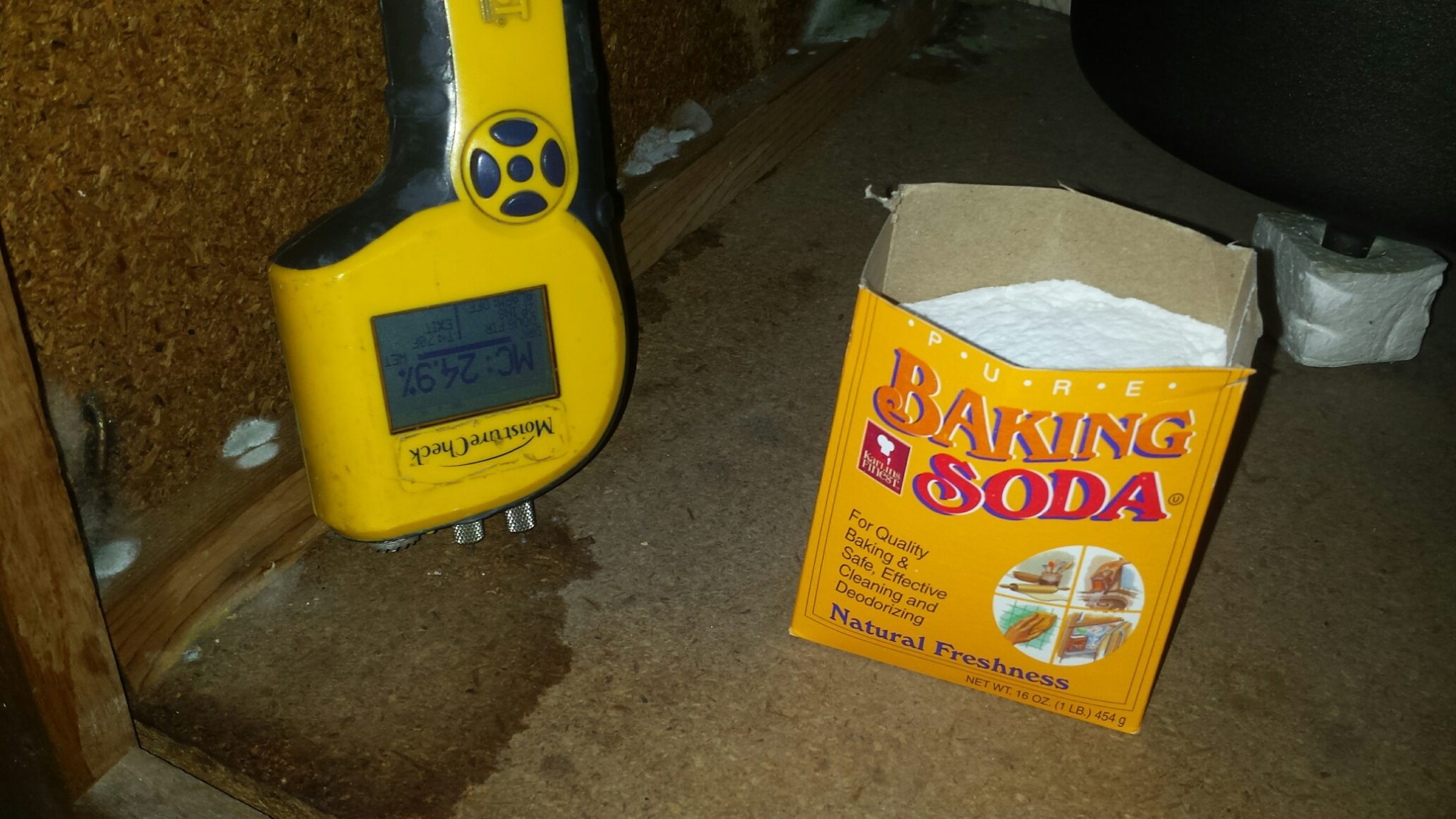 Kill Mold Does bleach clean mold? Fun Guy Inspections