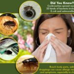 Protect Yourself from Allergens, Mildew, and Mold in Your Home