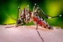 CDC - Puerto Rico Zika Virus Outbreak