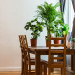 7 Tips to Improve Indoor Air Quality