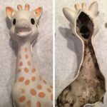 WARNING: Your Baby's Sophie the Giraffe Toy Might Be Full of Mold
