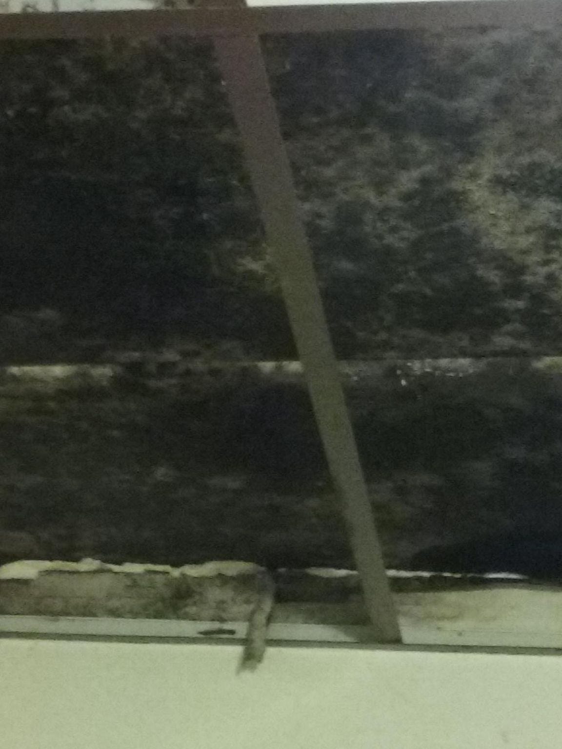 Mold visible on the ceiling of Jashauna Creadle's bedroom