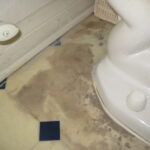 Yuck! Bacteria and mold growth are spreading | Moorpark, CA