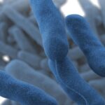 Legionella Poses Risk for Patients in Health Care Facilities