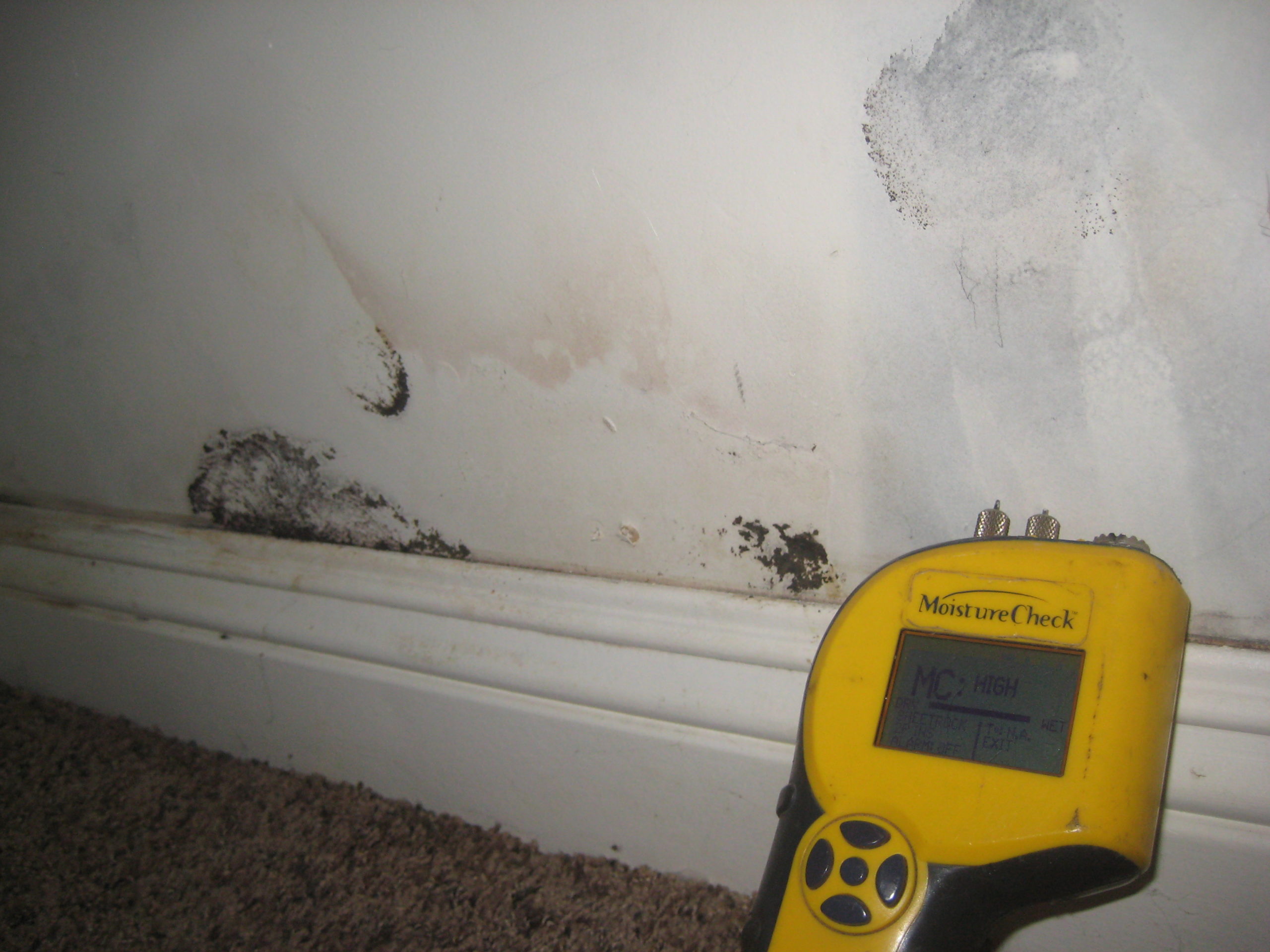 water damage and black mold growth on a wall in a LA home