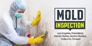 Mold Inspections Los AngelesA