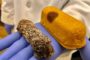 Scientists study Twinkie Mummified by Mold
