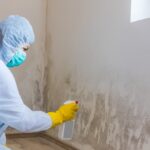 When Does Home Insurance Cover Mold?