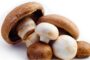 Making Meals More Nutritious (Micronutrients and Shortfall Nutrients): Just Add Mushrooms
