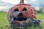 No mold, no maggots: How to keep your jack-o'-lantern fresh until Halloween