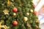 Tips on handling Christmas tree allergies