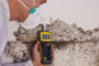 The Most Common Types of Mold in Your Home