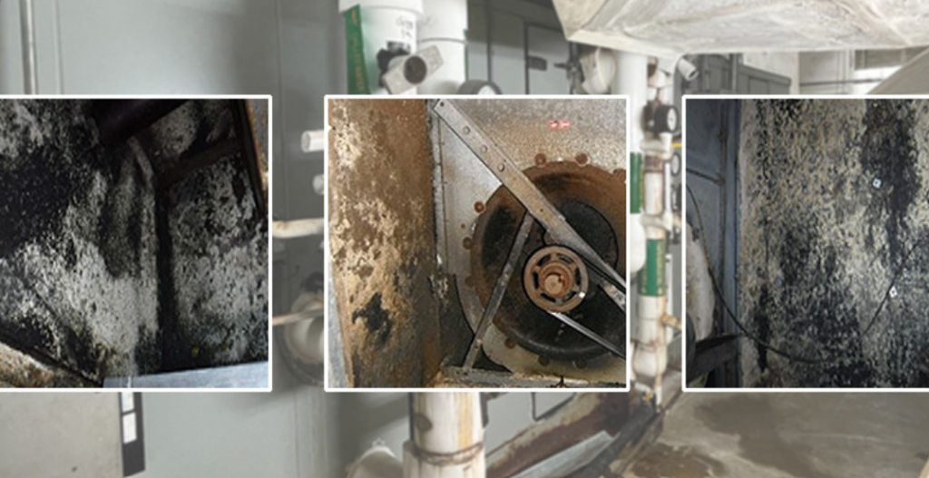 Mold in HVAC Systems and Buildings FunGuy Mold Inspections