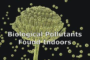 Common Biological Pollutants Found Indoors Discussed in New Online Video