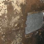 Mold in Ducts: Detection and Removal