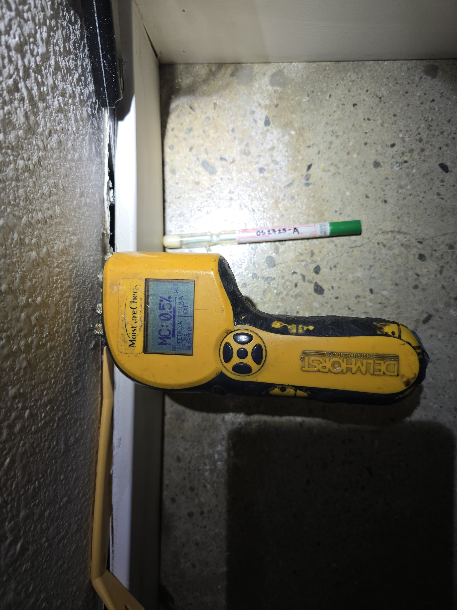 testing black mold in my home
