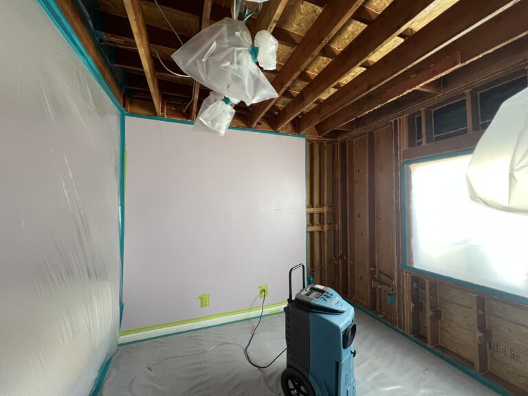 post remediation mold testing after mold removal