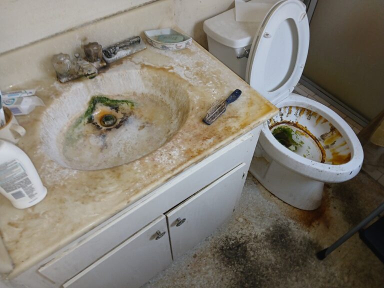 mold inspectors in westlake