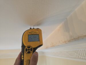 FunGuy Mold Inspections | Trusted Mold Testing and Inspection in Sherman Oaks, CA Choosing the right mold test company