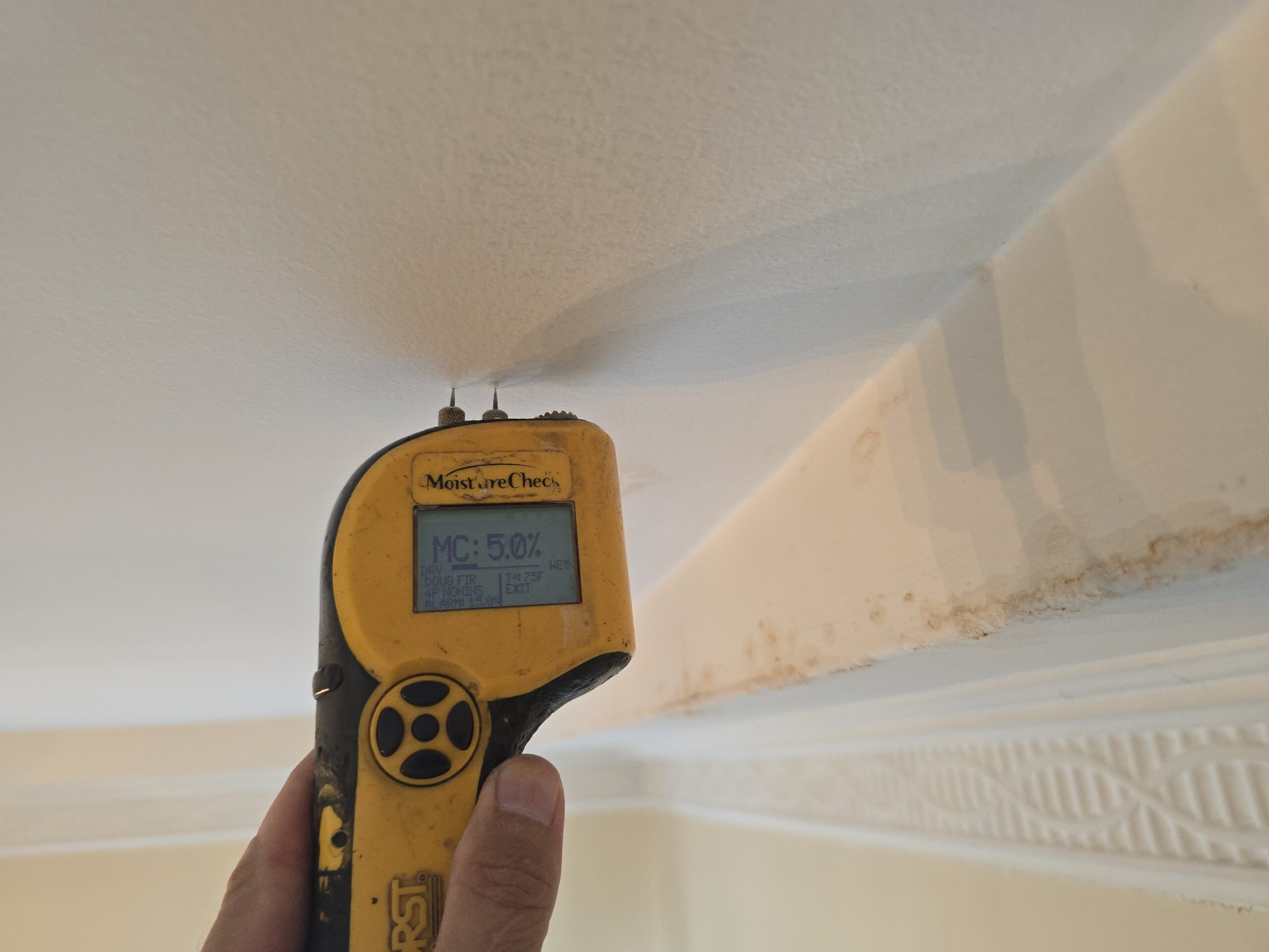 FunGuy Mold Inspections | Why Choosing the Right Mold Test Company Matters for a Healthy Home