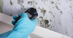 FunGuy Mold Inspections | Protecting Your Home and Health with Professional Black Mold Testing from Fun Guy Inspections
