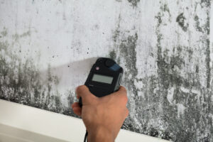 FunGuy Mold Inspections | Why Choosing the Right Mold Test Company Matters for a Healthy Home