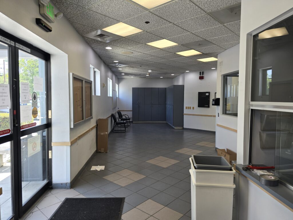 FunGuy Mold Inspections | Mold Visual Inspection Experts