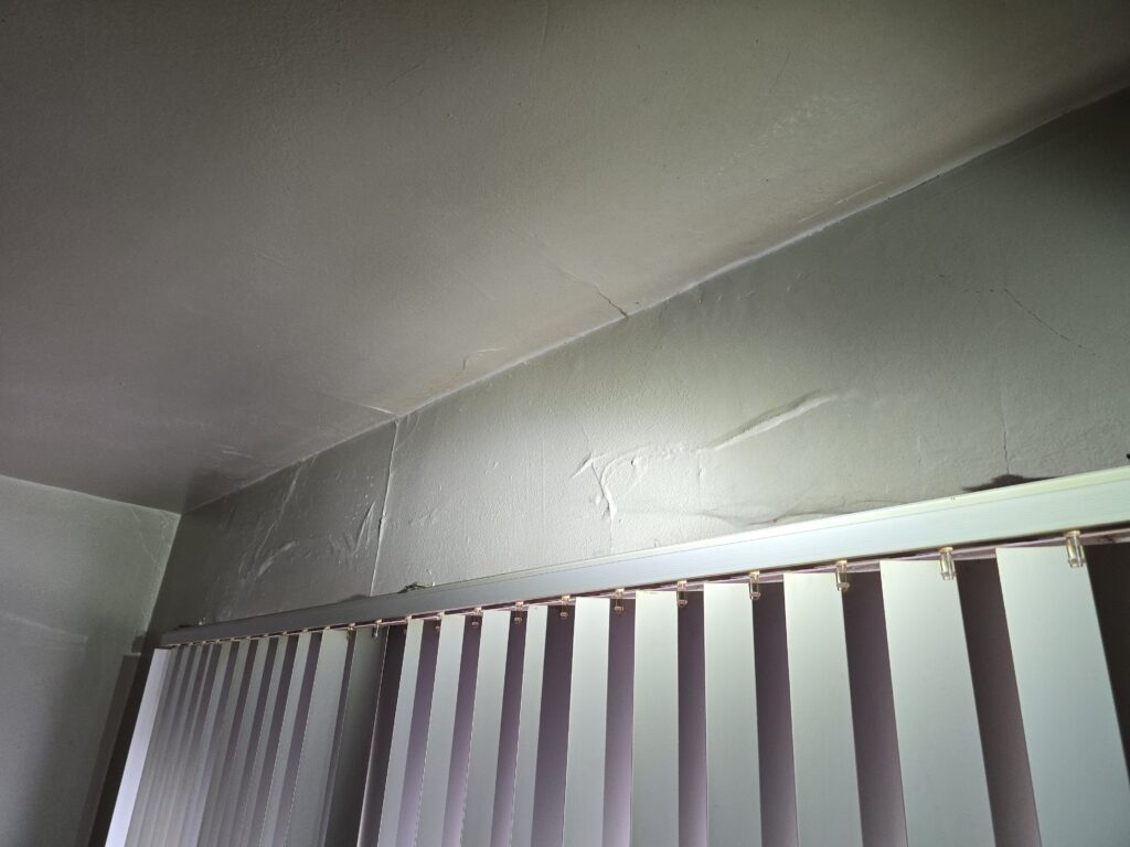 FunGuy Mold Inspections | Finding a Reliable Mold Inspection Near Me: The Torrance Homeowner’s 2026 Checklist