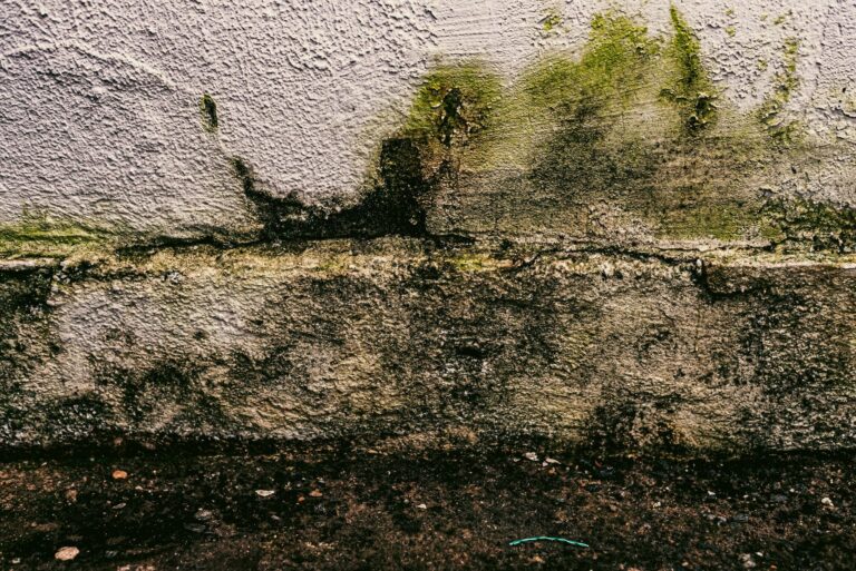 Winter Storms Cause Hidden Water Damage in Los Angeles Homes