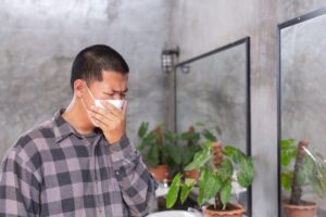 Harmful Effects of Mold Exposure in Los Angeles