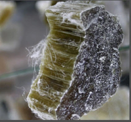 FunGuy Mold Inspections | Home